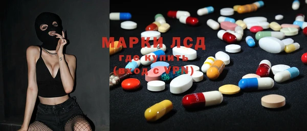 PSILOCYBIN Алзамай