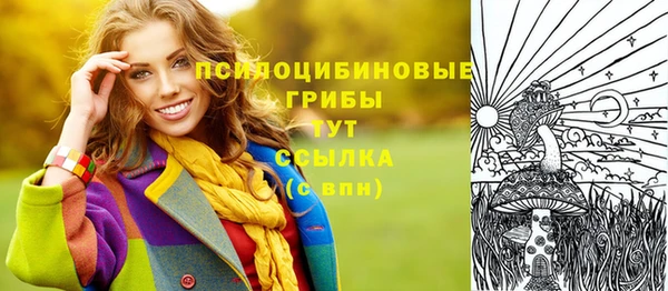PSILOCYBIN Алзамай