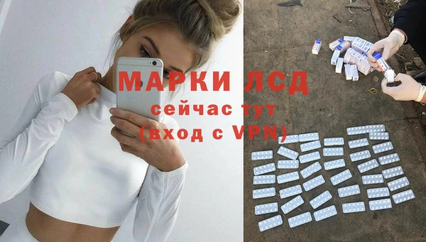 PSILOCYBIN Алзамай